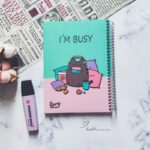 دفتر پلنر روزانه مسترراد طرح کرافت مدل گربه کیوت