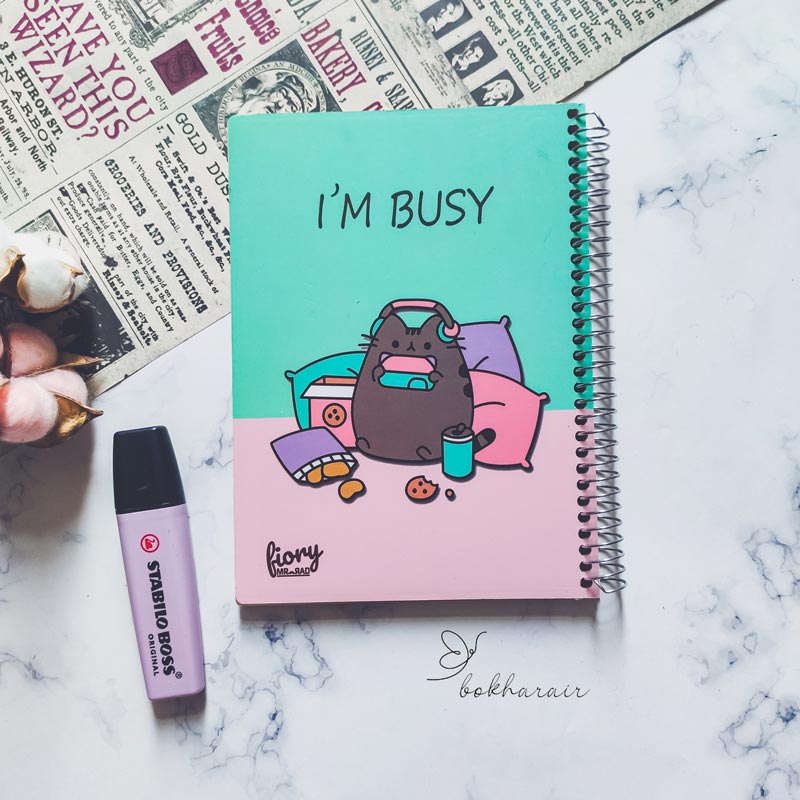 IMG_20231102_161332-(1) دفتر پلنر روزانه مسترراد طرح کرافت مدل گربه کیوت - Image 1