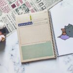 دفتر پلنر روزانه مسترراد طرح کرافت مدل گربه کیوت - Image 2