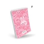 دفترچه یادداشت پیتیکو