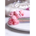 سررسید 4 فصل 1403 سری A5 میو