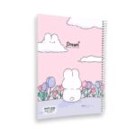 دفتر خط دار 40 برگ پیتیکو سری Dream