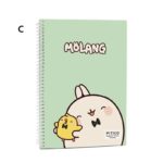 دفتر دو خط زبان 60 برگ پیتیکو کد 317