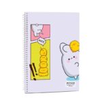 دفتر دو خط زبان 60 برگ پیتیکو کد 317