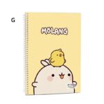 دفتر دو خط زبان 60 برگ پیتیکو کد 317