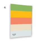 دفتر مشق 100 برگ پیتیکو سری رنگی