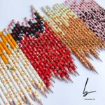 مداد مشکی پاک کن دار پردون مدل حیوانات Pardone