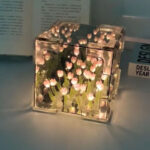 چراغ خواب دشت لاله صورتی