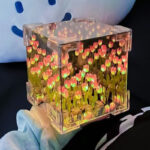 چراغ خواب دشت لاله صورتی